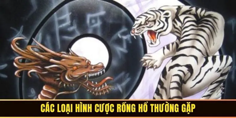 Các loại hình cược rồng hổ thường gặp